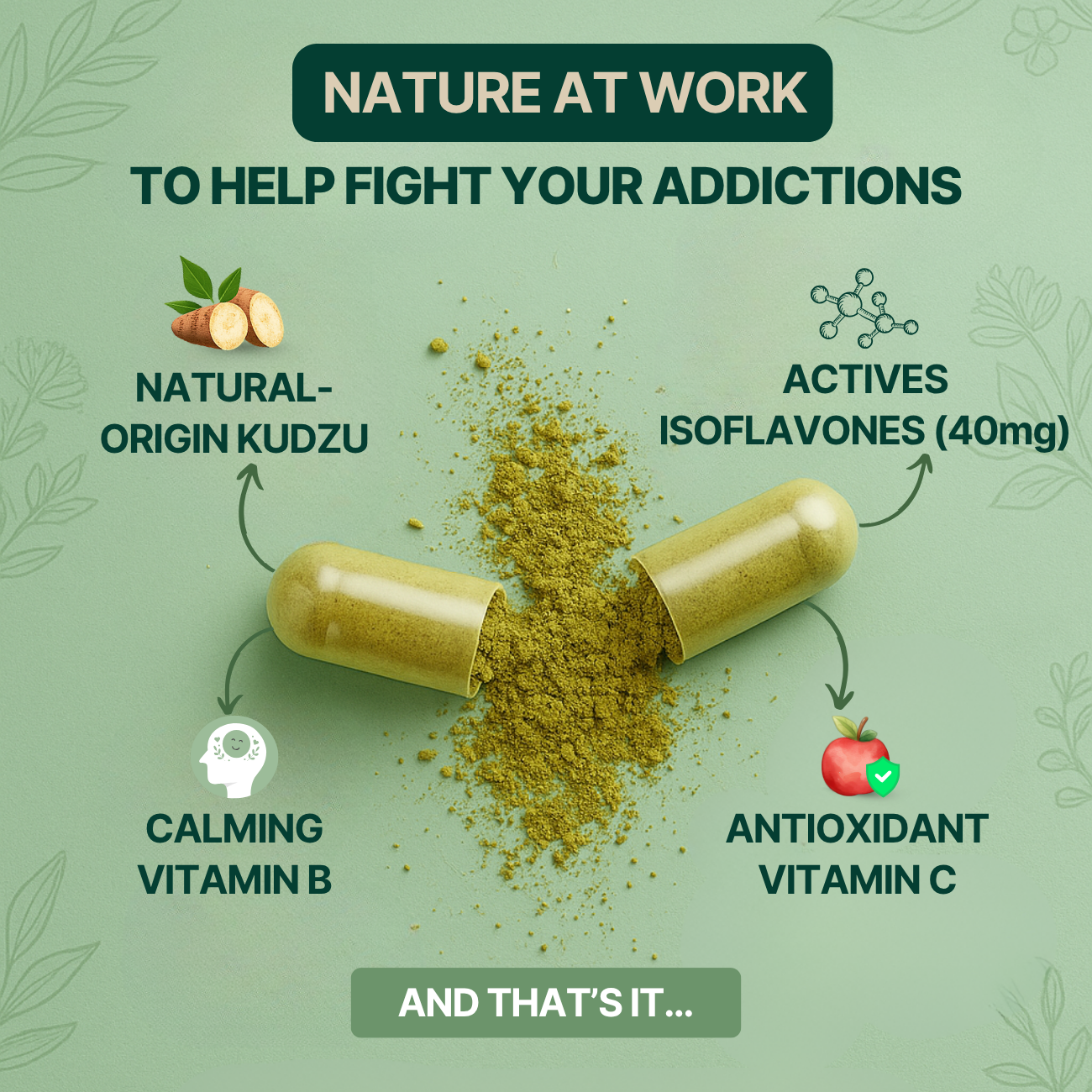 Kudzu Herbavaq 40 mg Isoflavones – 100% Natural