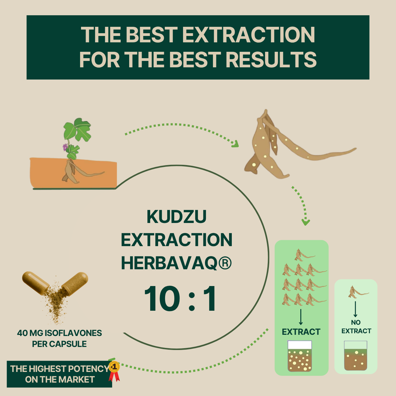 Kudzu Herbavaq 40 mg Isoflavones – 100% Natural